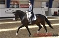 Kowalski i Grand Prix-sejr i Norge