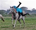 Nye danmarksmestre i mounted games