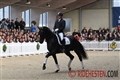 Helene og Dexter 2’er i Vidauban