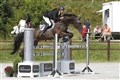 Springresultater fra Kolding 