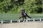 C-stævne Dressur Midtsjællands Rideklub - Unghestechampionat dressur