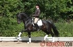 Dansk hest vinder Grand Prix