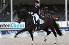 Valegro vandt Amerikas hjerter