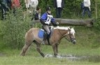 Ny turnering - Sugar Cup 2012