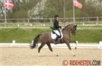 NM i ponydressur: Holdene er sat