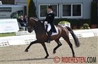 Første Nations Cup i dressur