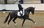 Danish youngster qualifications