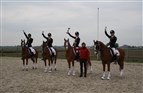 Dansk holdbronze i Moorsele