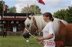 Roskilde Dyrskue lige om hjørnet