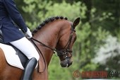 Ponydressurens A- og B-trup