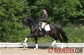 Dansk hest vinder Grand Prix