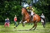 Dansk placering ved Renswoude Horse Trials