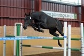SWB: 3-year-old test in Plönninge