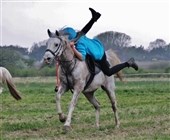 Nye danmarksmestre i mounted games