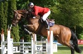 DRF-mesterskaber for hold