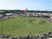 Masser af heste til Hjørring Dyrskue 