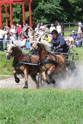 Resultater fra Dorthealyst
