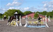 Ny stærk trio bag hesteuddannelse i Århus