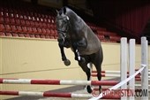 All photos from talent test online