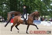 U25-rider Maria Kjærgaard in serious accident