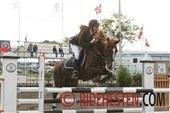 Ponyplaceringer i Fontainebleu