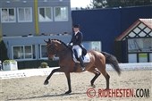 Lone og Fitou L 3’er i Wiesbaden