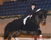 Interessante Grand Prix debutanter