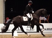 4-års championat i fuld gang