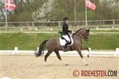 NM i ponydressur: Holdene er sat