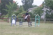 Ponyugen 2010 skudt i gang