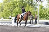 Flotte resultater i Bremen
