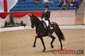 Youngster Cup-sejr til Blue Hors