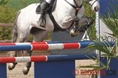 Træningssamling for ponyspringrytterne