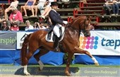 Martin Christensen 4'er i Braunschweig Kür