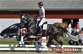 DV's hoppekåringer i august