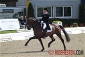 Første Nations Cup i dressur