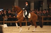 Årets KWPN-hest 2011: Parzival