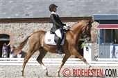 Første afdeling ECCO Cup