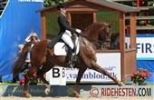 Grand Prix-hesten Danielo til Dufour