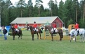 NM-bronze til juniorlandsholdet i springning