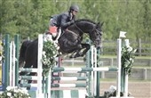 Fra auktionsføl til ridehest 