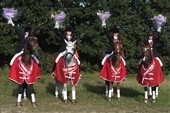 DM i pony-holddressur