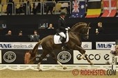Klar til Unghestechampionat 2013