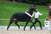 TAF's Elitestævne 2010
