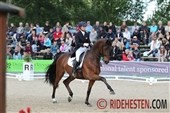 FBW De Vito til Martin Christensen