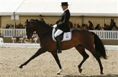 Mix Max solgt til De Ridder