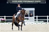 Glock's Romanov injured 