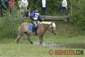 Sugar Cup 2013