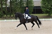 Yderlige to medaljer til juniorrytterne i dressur