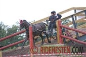 VM-guld i 1-spand hest